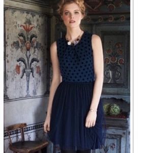 Anthropologie Western Wear Sasonger Tulle Dress